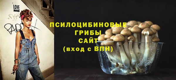 бошки Инта
