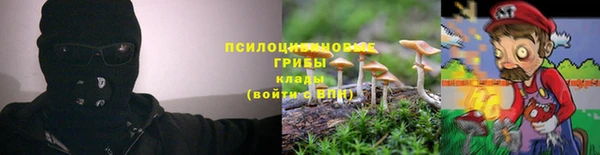 apvp Каменногорск