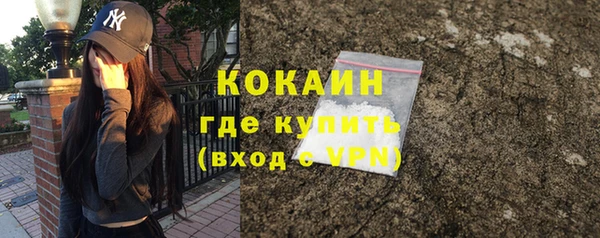 бошки Инта