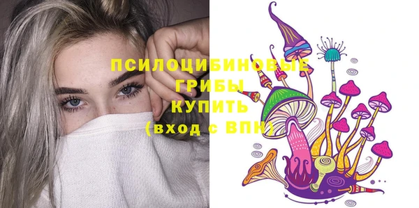 бошки Инта